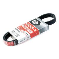 6PK 1019 ELAST Fiesta / Fusion / Focus-II-III 1.25 / 1.4 / 1.6 2002-
