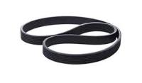 6PK 1059 Elast FOCUS II-III 1.4 / 1.6 Ti 